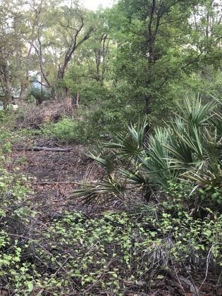 Ponce De Leon, Florida 32455, ,Land,For Sale,Waits,868129