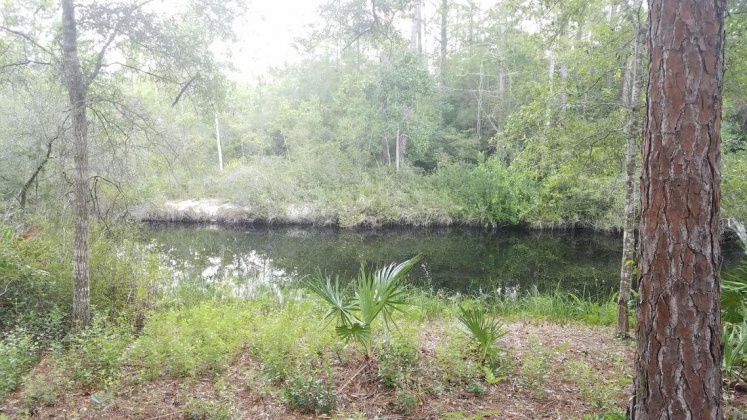 Santa Rosa Beach, Florida 32459, ,Land,For Sale,Marie,864476