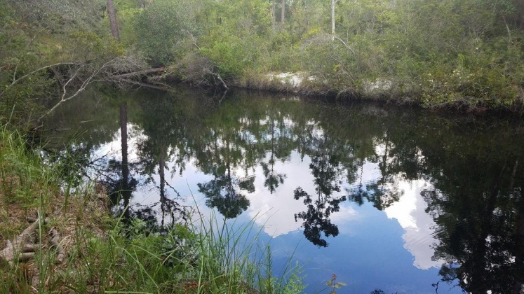 Santa Rosa Beach, Florida 32459, ,Land,For Sale,Marie,864476