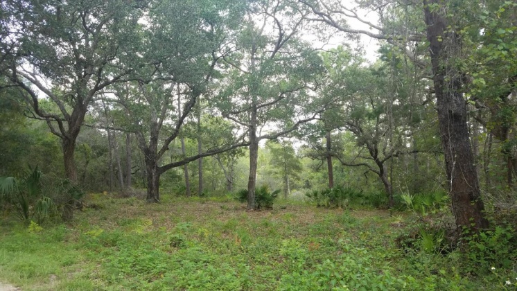 Santa Rosa Beach, Florida 32459, ,Land,For Sale,Marie,864476