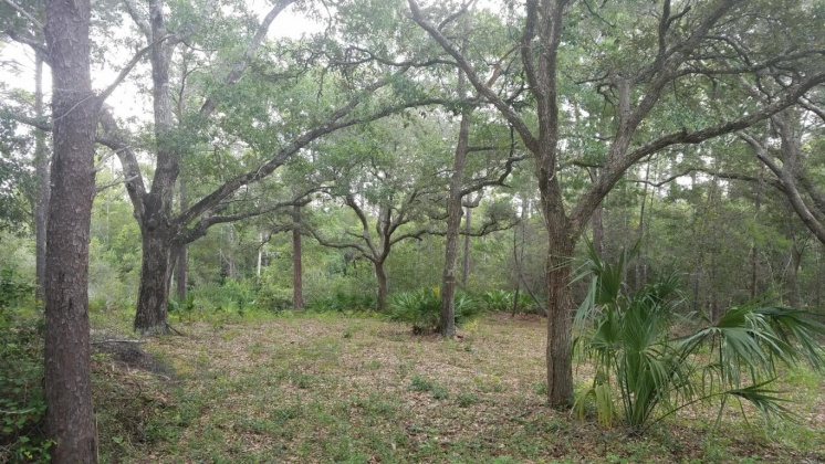 Santa Rosa Beach, Florida 32459, ,Land,For Sale,Marie,864476