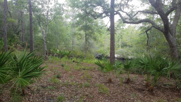 Santa Rosa Beach, Florida 32459, ,Land,For Sale,Marie,864476
