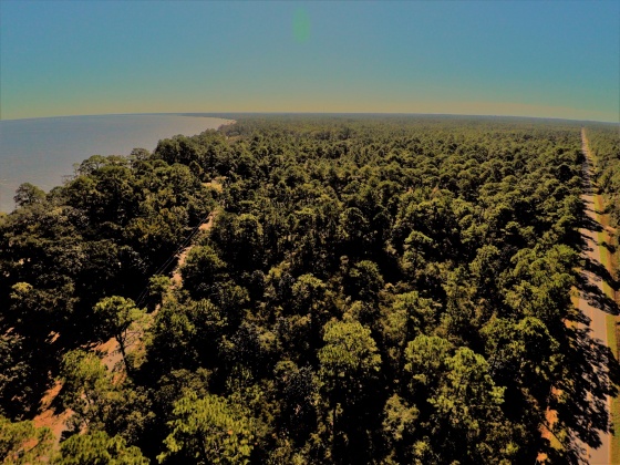 Santa Rosa Beach, Florida 32459, ,Land,For Sale,Indian Woman,868149