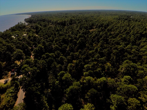Santa Rosa Beach, Florida 32459, ,Land,For Sale,Indian Woman,868149