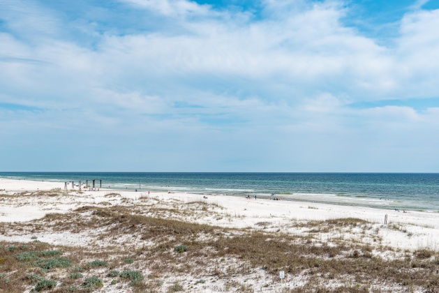 Inlet Beach, Florida 32461, ,Land,For Sale,Walton Magnolia,868142
