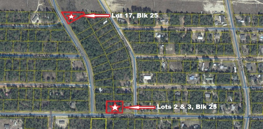 Defuniak Springs, Florida 32433, ,Land,For Sale,Dogwood,868187