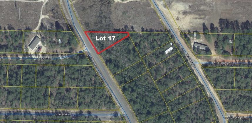 Defuniak Springs, Florida 32433, ,Land,For Sale,Dogwood,868187