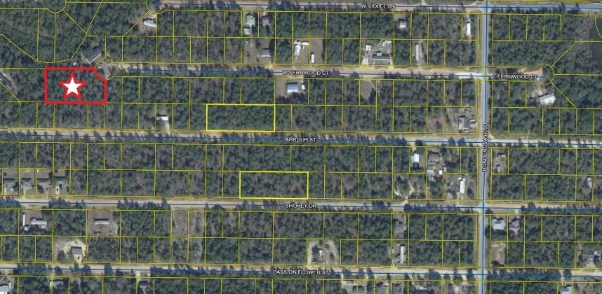 Defuniak Springs, Florida 32433, ,Land,For Sale,Fernwood,868203