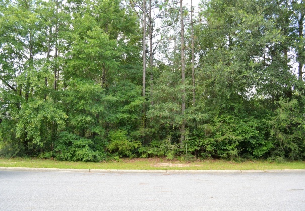 Crestview, Florida 32536, ,Land,For Sale,Zach,825523