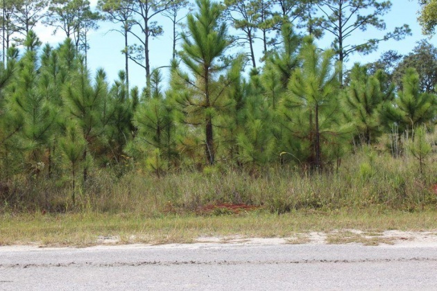Youngstown, Florida 32466, ,Land,For Sale,Jodie,868307