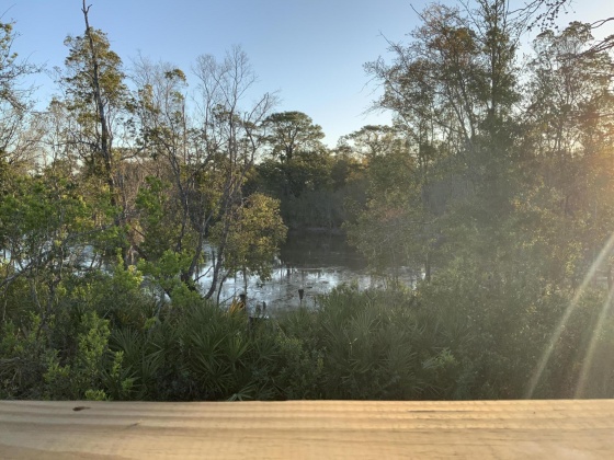 Santa Rosa Beach, Florida 32459, 3 Bedrooms Bedrooms, ,2 BathroomsBathrooms,Residential,For Sale,Wayne,868347