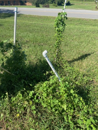 Defuniak Springs, Florida 32433, 3 Bedrooms Bedrooms, ,2 BathroomsBathrooms,Residential,For Sale,Punch Bowl,855374