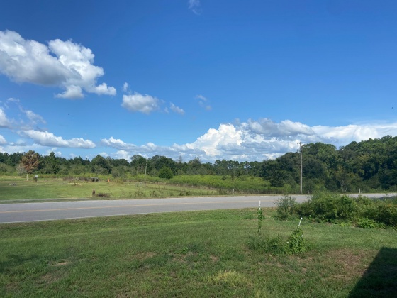 Defuniak Springs, Florida 32433, 3 Bedrooms Bedrooms, ,2 BathroomsBathrooms,Residential,For Sale,Punch Bowl,855374