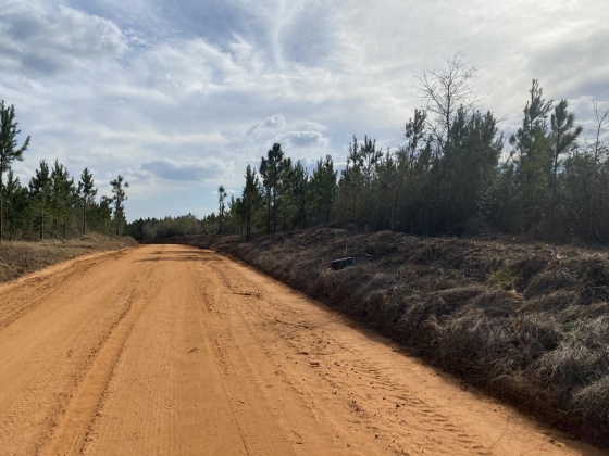 Milton, Florida 32570, ,Land,For Sale,Munson Hwy,868446