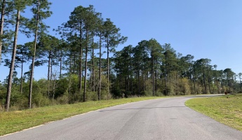 Crestview, Florida 32539, ,Land,For Sale,Eagle,868456