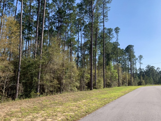 Crestview, Florida 32539, ,Land,For Sale,Eagle,868456