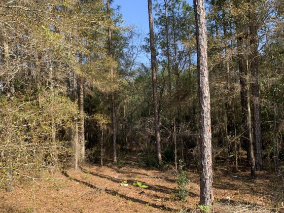 Crestview, Florida 32539, ,Land,For Sale,Eagle,868456