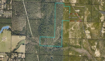 Baker, Florida 32531, ,Land,For Sale,Buck Ward,868495