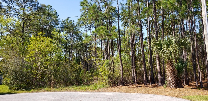 Santa Rosa Beach, Florida 32459, ,Land,For Sale,MONARCH,868509
