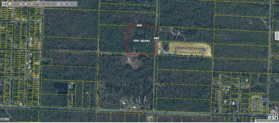 Santa Rosa Beach, Florida 32459, ,Land,For Sale,Nellie,868565