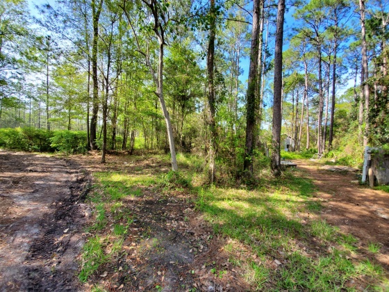 Santa Rosa Beach, Florida 32459, ,Land,For Sale,Nellie,868565
