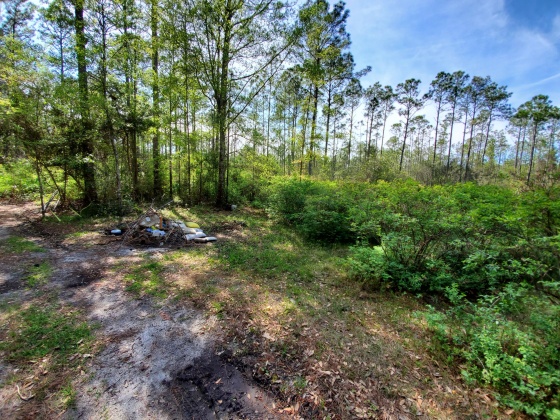 Santa Rosa Beach, Florida 32459, ,Land,For Sale,Nellie,868565
