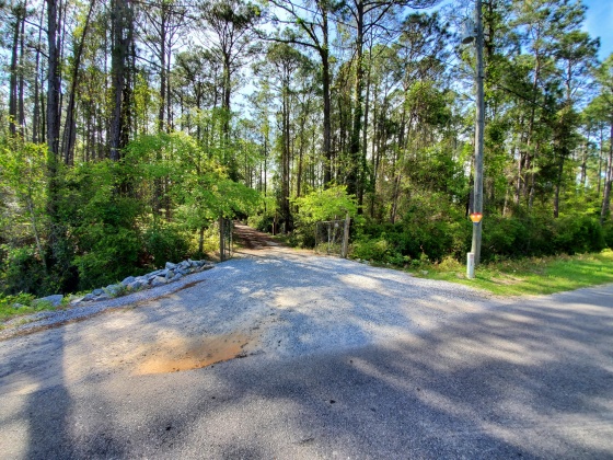 Santa Rosa Beach, Florida 32459, ,Land,For Sale,Nellie,868565