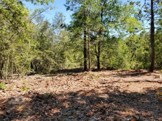 Defuniak Springs, Florida 32433, ,Land,For Sale,Schubert,868540