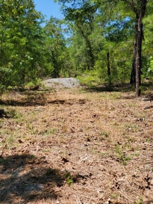 Defuniak Springs, Florida 32433, ,Land,For Sale,Schubert,868540