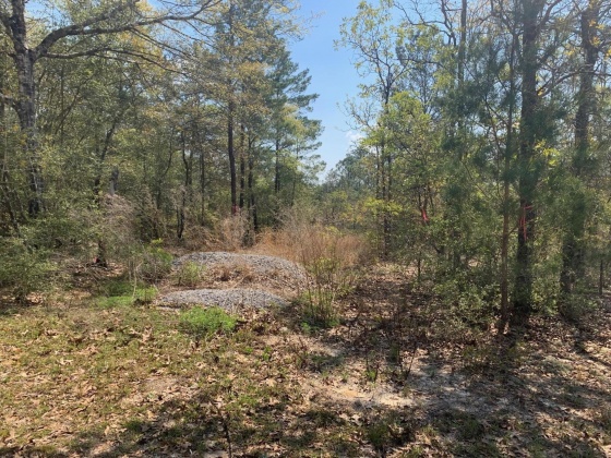 Defuniak Springs, Florida 32433, ,Land,For Sale,Schubert,868540