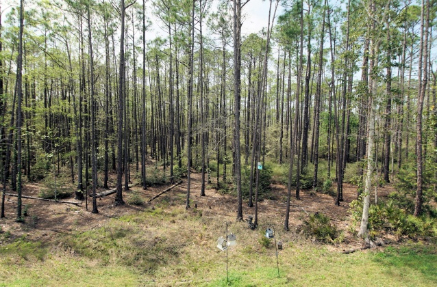 Santa Rosa Beach, Florida 32459, 3 Bedrooms Bedrooms, ,3 BathroomsBathrooms,Residential,For Sale,Deal,868528