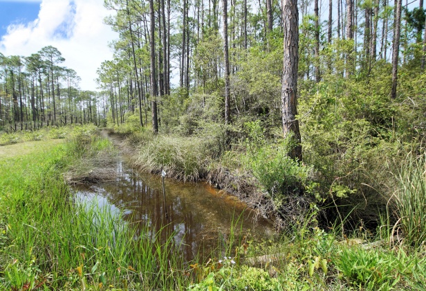 Santa Rosa Beach, Florida 32459, 3 Bedrooms Bedrooms, ,3 BathroomsBathrooms,Residential,For Sale,Deal,868528