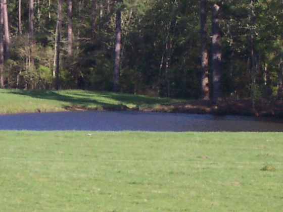 Defuniak Springs, Florida 32433, ,Land,For Sale,Phillips,868596