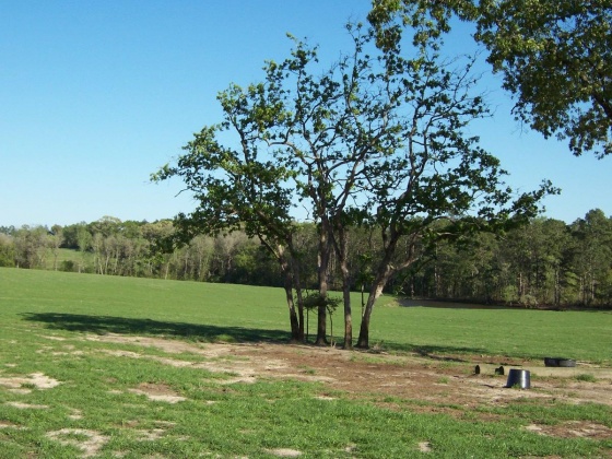 Defuniak Springs, Florida 32433, ,Land,For Sale,Phillips,868596