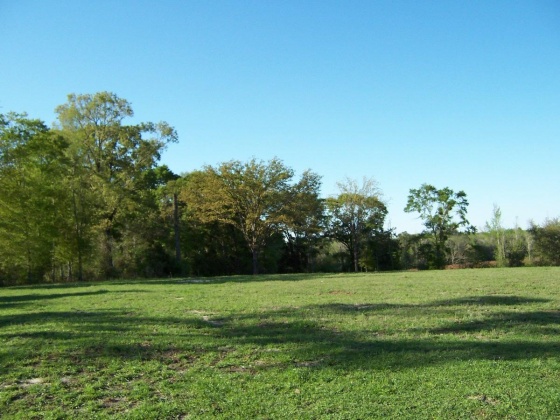 Defuniak Springs, Florida 32433, ,Land,For Sale,Phillips,868596