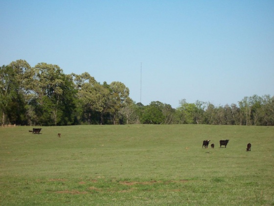 Defuniak Springs, Florida 32433, ,Land,For Sale,Phillips,868596