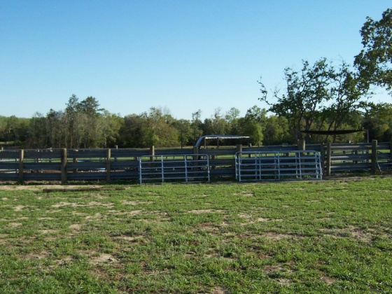 Defuniak Springs, Florida 32433, ,Land,For Sale,Phillips,868596