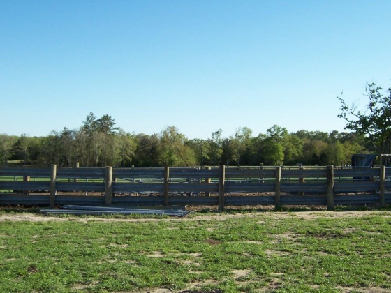 Defuniak Springs, Florida 32433, ,Land,For Sale,Phillips,868596