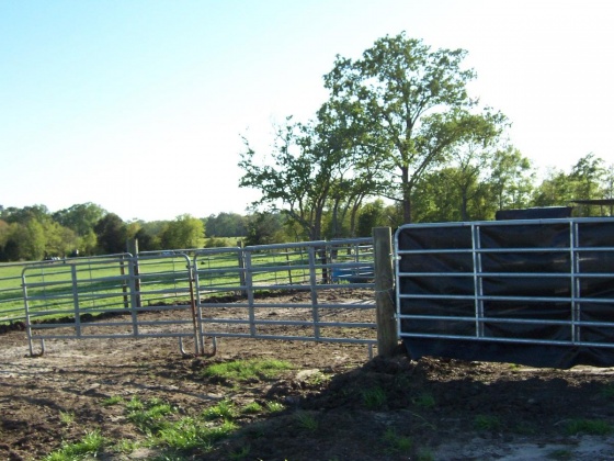 Defuniak Springs, Florida 32433, ,Land,For Sale,Phillips,868596
