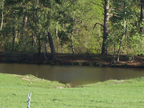 Defuniak Springs, Florida 32433, ,Land,For Sale,Phillips,868596