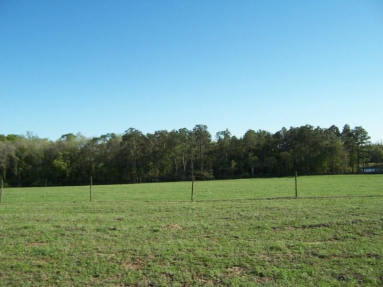 Defuniak Springs, Florida 32433, ,Land,For Sale,Phillips,868596