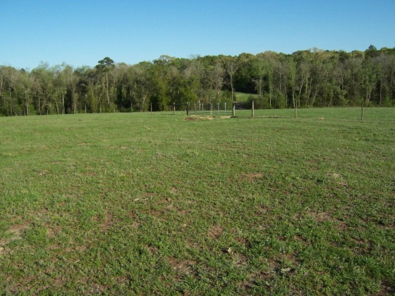 Defuniak Springs, Florida 32433, ,Land,For Sale,Phillips,868596