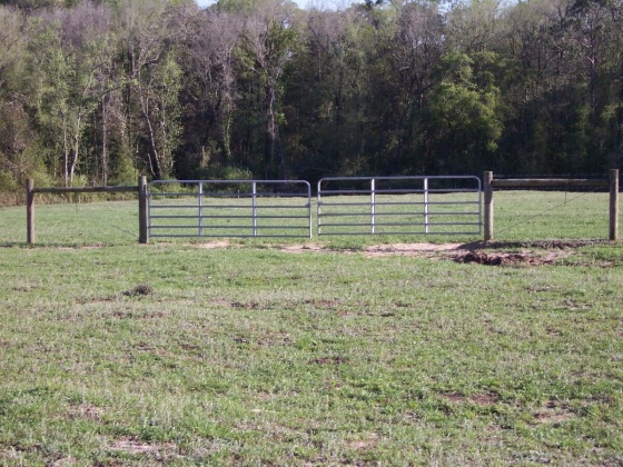 Defuniak Springs, Florida 32433, ,Land,For Sale,Phillips,868596