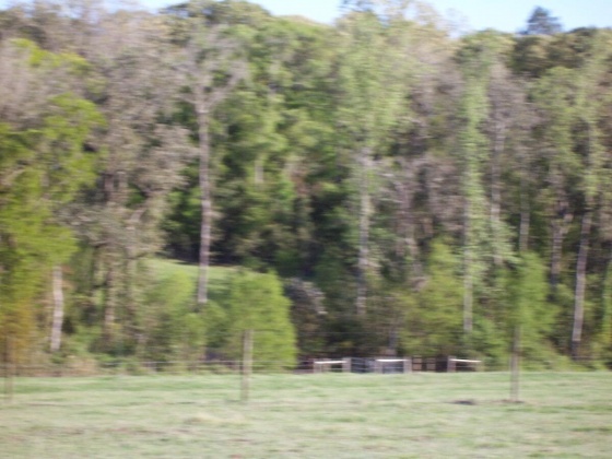 Defuniak Springs, Florida 32433, ,Land,For Sale,Phillips,868596