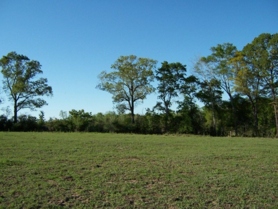 Defuniak Springs, Florida 32433, ,Land,For Sale,Phillips,868596