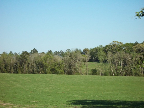 Defuniak Springs, Florida 32433, ,Land,For Sale,Phillips,868596