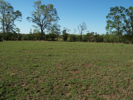 Defuniak Springs, Florida 32433, ,Land,For Sale,Phillips,868596