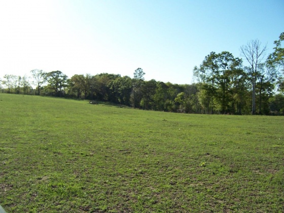 Defuniak Springs, Florida 32433, ,Land,For Sale,Phillips,868596