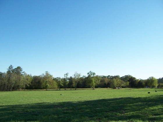 Defuniak Springs, Florida 32433, ,Land,For Sale,Phillips,868596