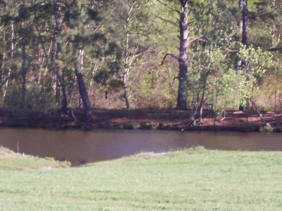 Defuniak Springs, Florida 32433, ,Land,For Sale,Phillips,868596